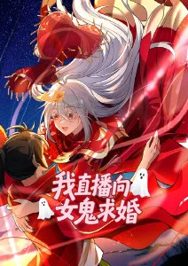 动漫极昼少年海报